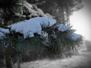 Znamy zwycięzców konkursu fotograficznego 