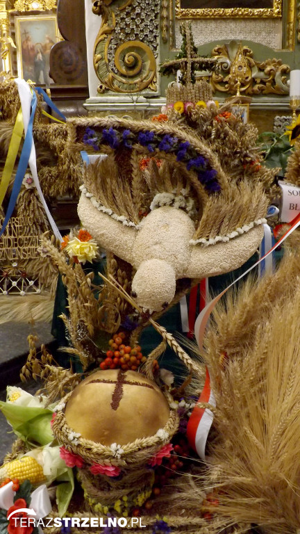 DOŻYNKI GMINNO- DIECEZJALNO- PARAFIALNE w STRZELNIE