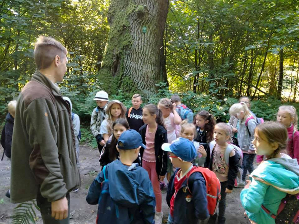 Uczniowie klas I-III z Markowic w Nadleśnictwie Miradz - film i fotorelacja