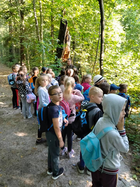 Uczniowie klas I-III z Markowic w Nadleśnictwie Miradz - film i fotorelacja