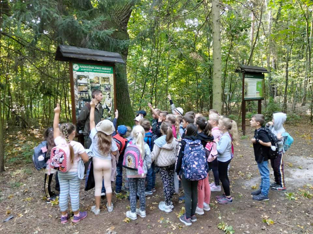 Uczniowie klas I-III z Markowic w Nadleśnictwie Miradz - film i fotorelacja