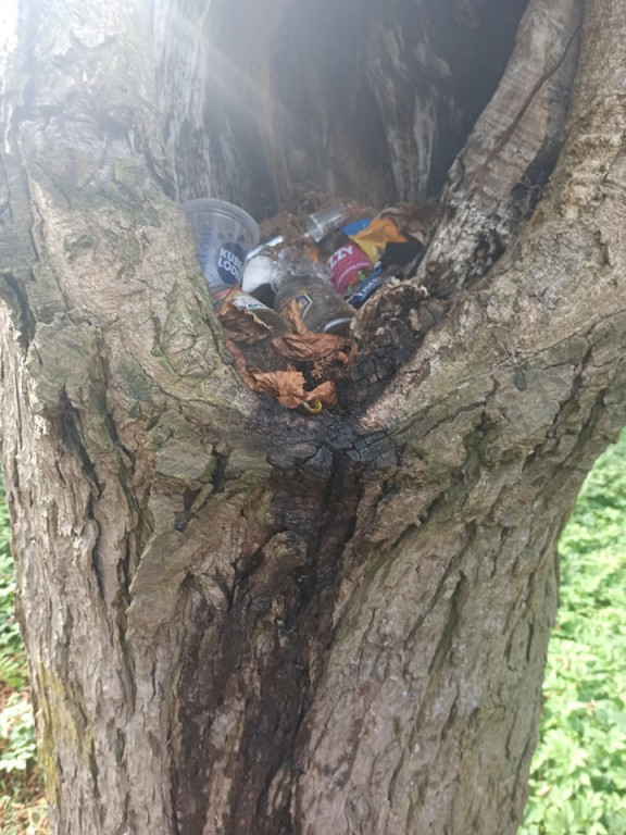 Uczniowie strzeleńskich szkół sprzątali swój kawałek świata