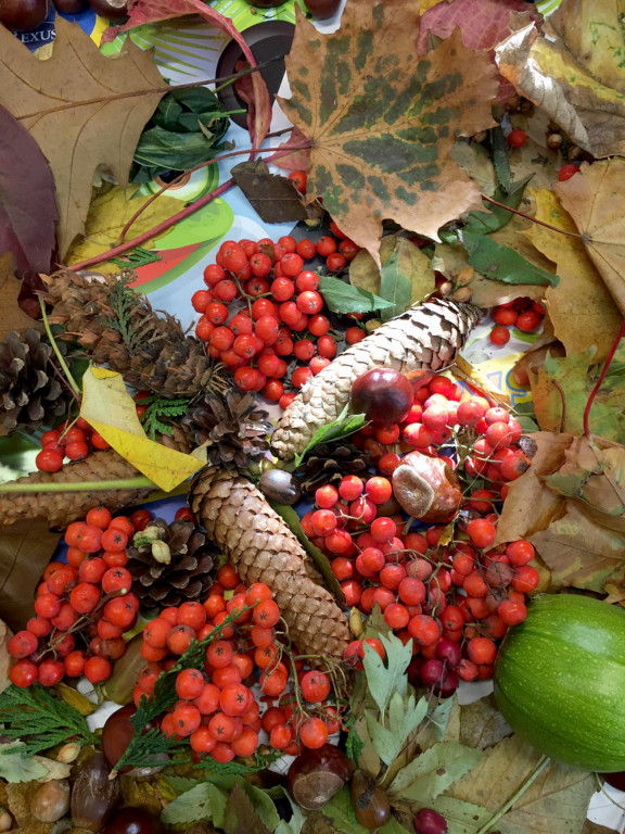 Uczniowie SP im. J. Dałkowskiego w Strzelnie korzystają z uroku jesieni