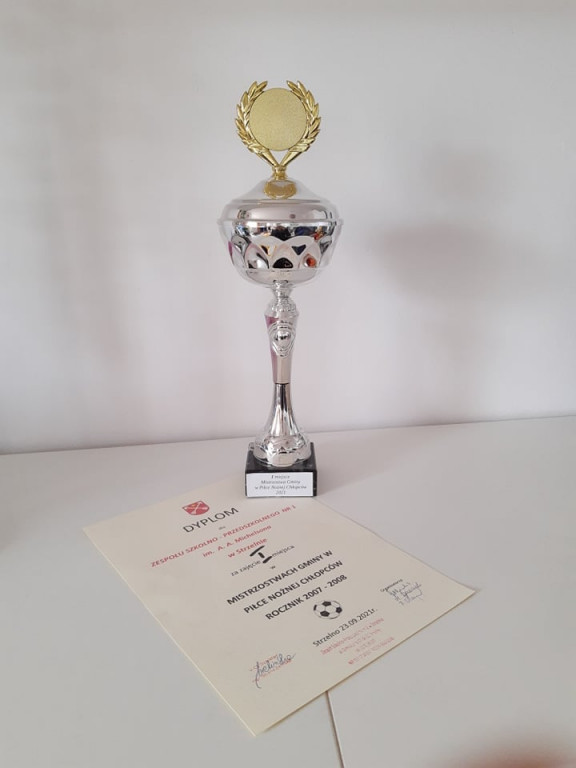 Sukcesy sportowe uczniów SP im. A. A. Michelsona w Strzelnie