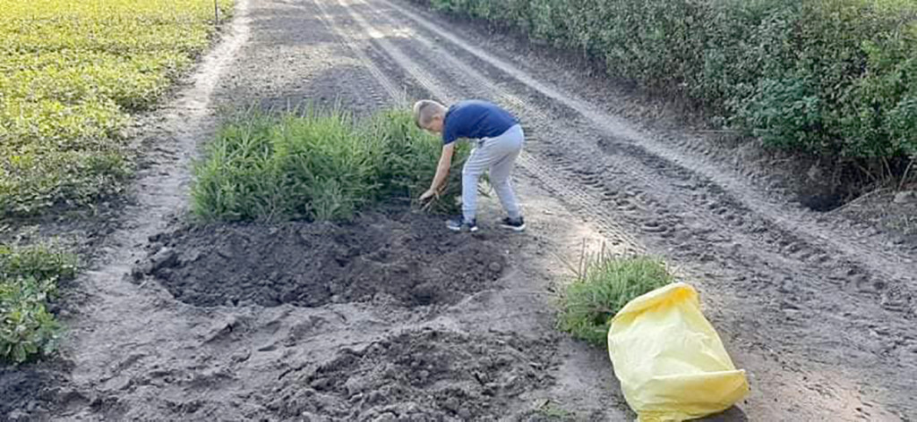 Harcerze wzięli udział w akcji zainicjowanej przez  Prezydenta A. Dudę
