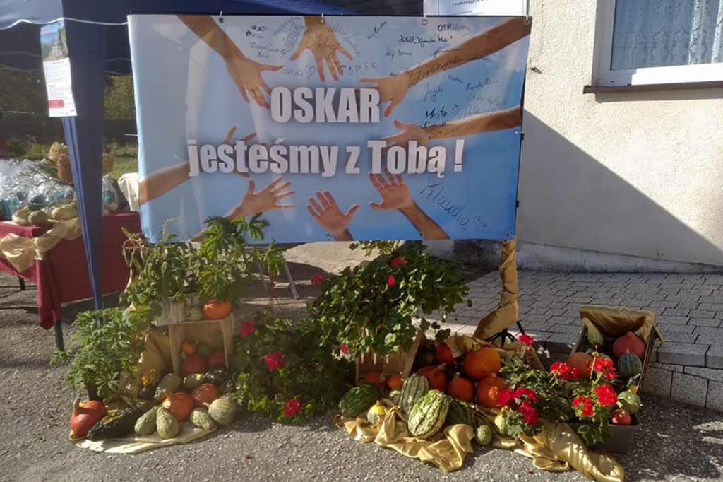 Akcja poboru krwi dla Oskara