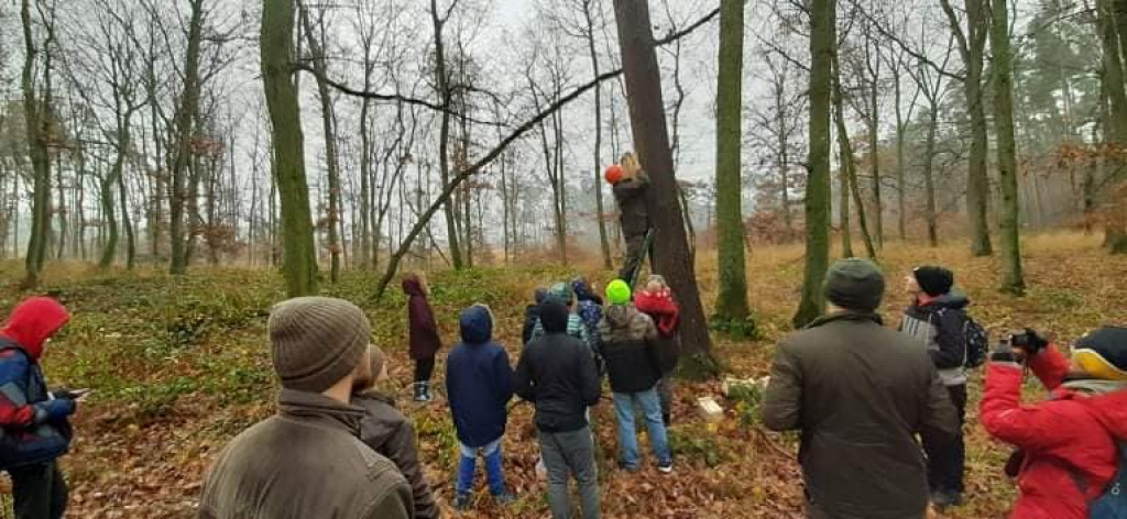 Strzeleńscy harcerze z PTTK i Nadleśnictwem Miradz zawieszali skrzynki lęgowe