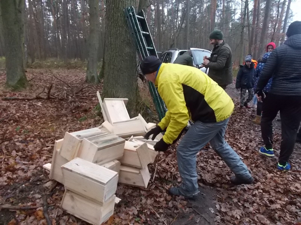 Strzeleńscy harcerze z PTTK i Nadleśnictwem Miradz zawieszali skrzynki lęgowe