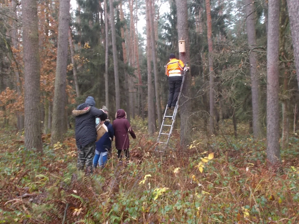 Strzeleńscy harcerze z PTTK i Nadleśnictwem Miradz zawieszali skrzynki lęgowe