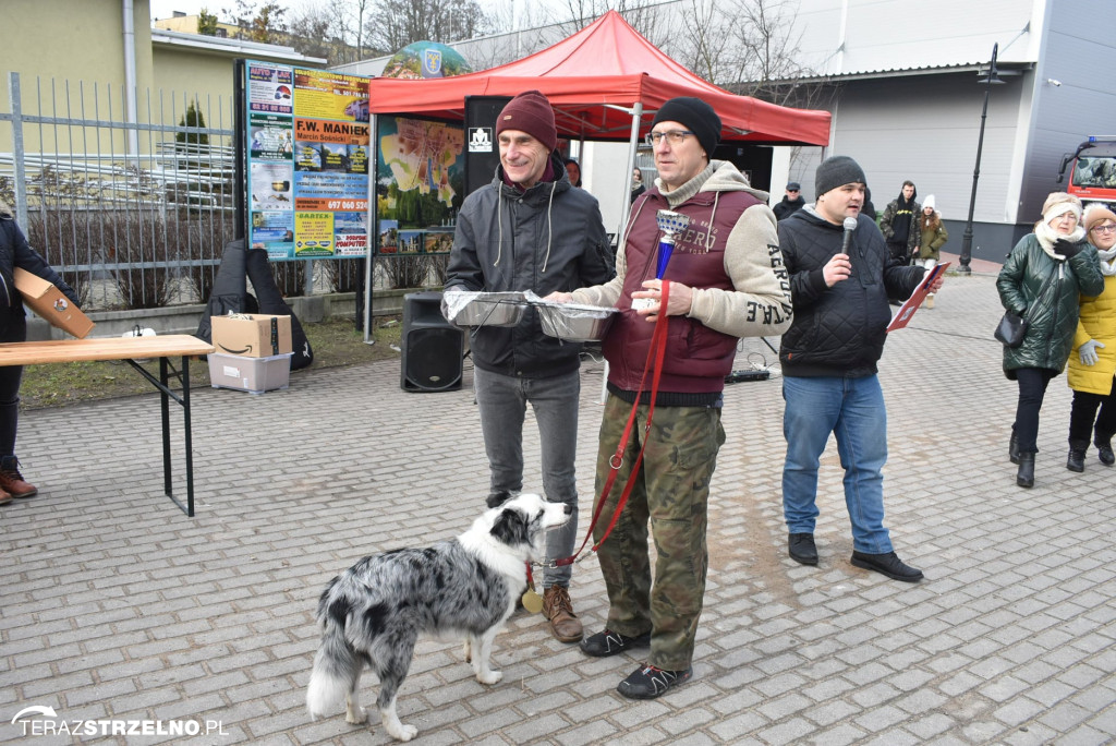 Zaginionym Tropem w Mogilnie [ZDJĘCIA]