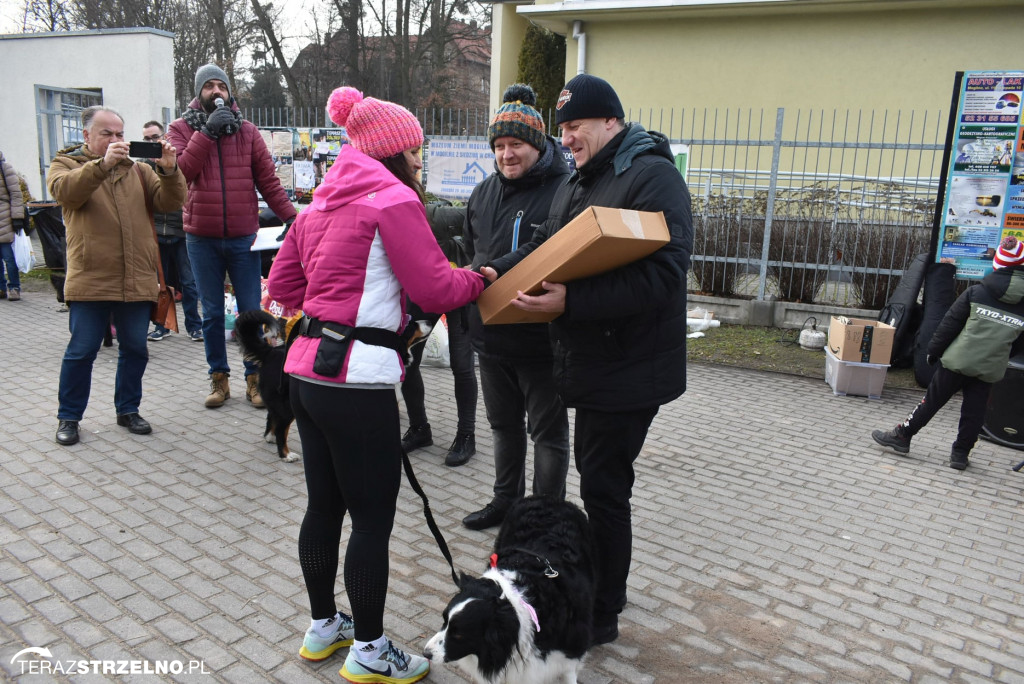 Zaginionym Tropem w Mogilnie [ZDJĘCIA]