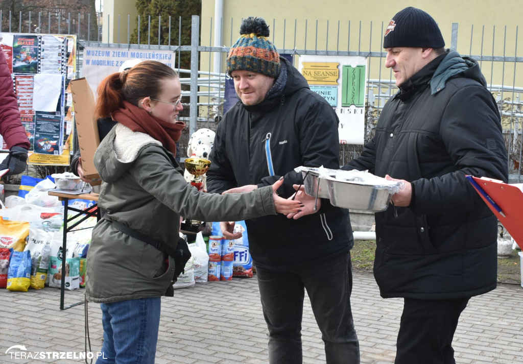 Zaginionym Tropem w Mogilnie [ZDJĘCIA]