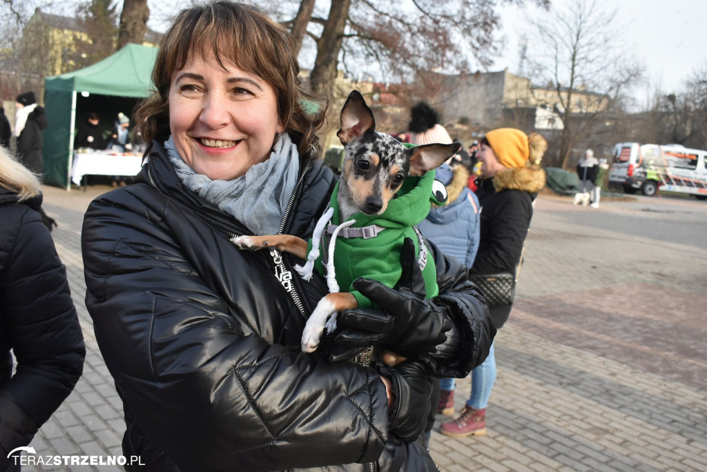 Zaginionym Tropem w Mogilnie [ZDJĘCIA]