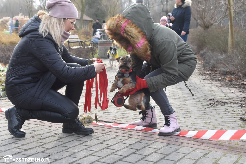 Zaginionym Tropem w Mogilnie [ZDJĘCIA]