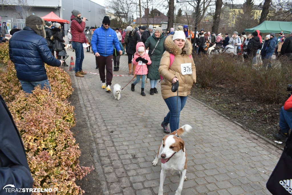 Zaginionym Tropem w Mogilnie [ZDJĘCIA]