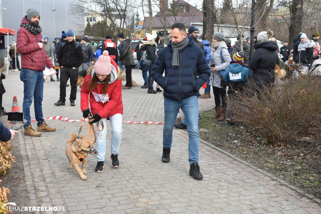 Zaginionym Tropem w Mogilnie [ZDJĘCIA]