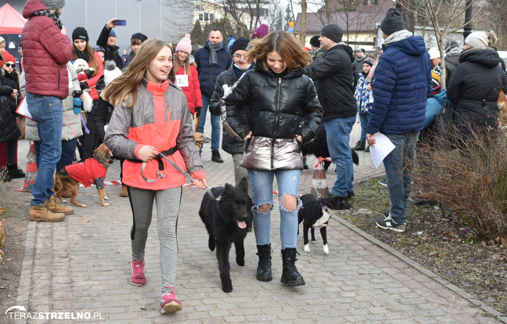 Zaginionym Tropem w Mogilnie [ZDJĘCIA]