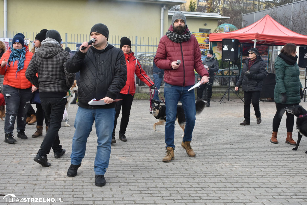 Zaginionym Tropem w Mogilnie [ZDJĘCIA]