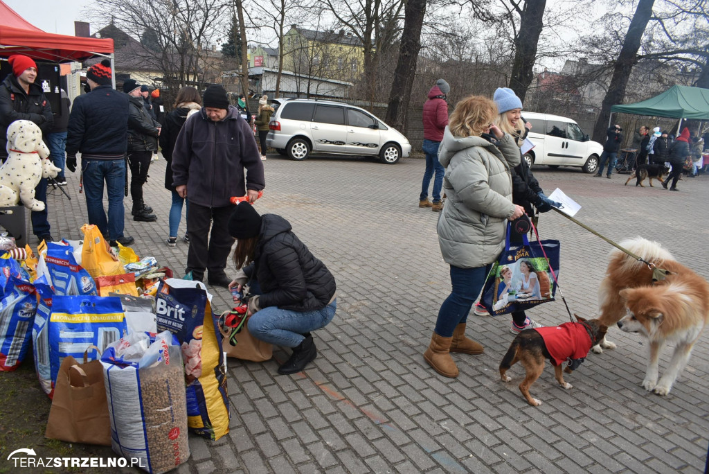 Zaginionym Tropem w Mogilnie [ZDJĘCIA]