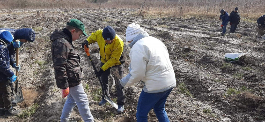 Dobrze wykorzystana sobota - sadzili las w Miradzu