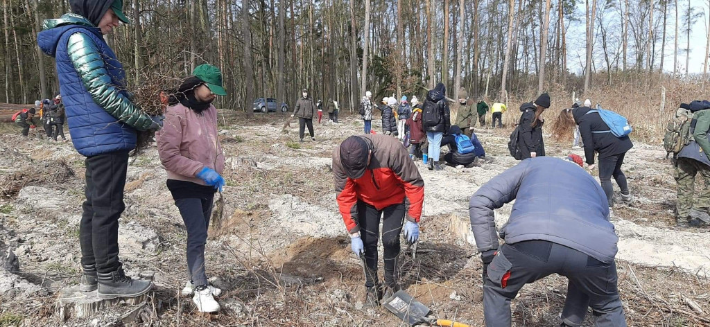 Dobrze wykorzystana sobota - sadzili las w Miradzu