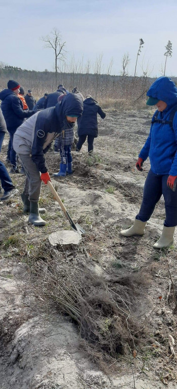 Dobrze wykorzystana sobota - sadzili las w Miradzu