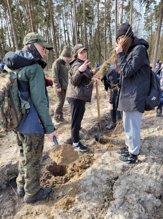 Dobrze wykorzystana sobota - sadzili las w Miradzu