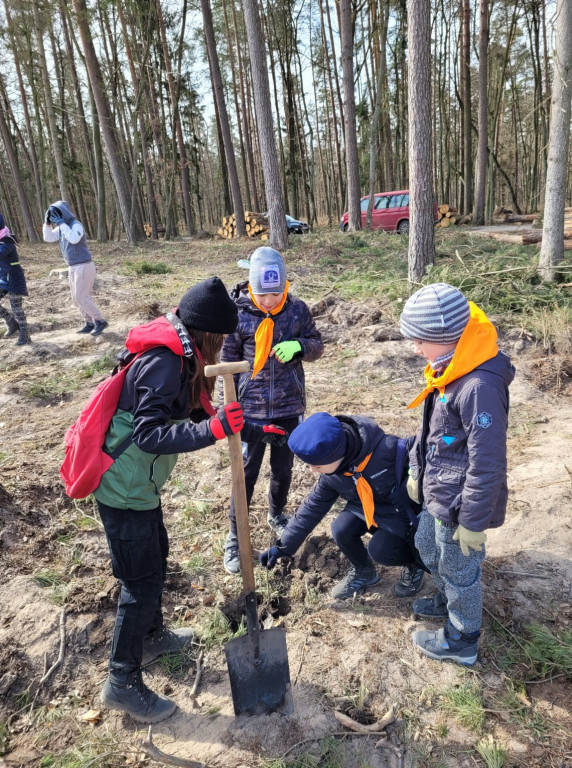 Dobrze wykorzystana sobota - sadzili las w Miradzu