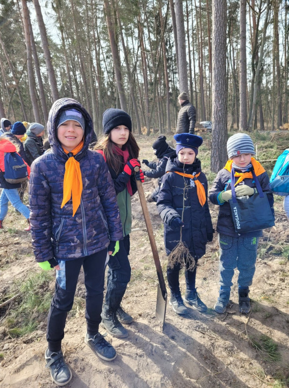 Dobrze wykorzystana sobota - sadzili las w Miradzu