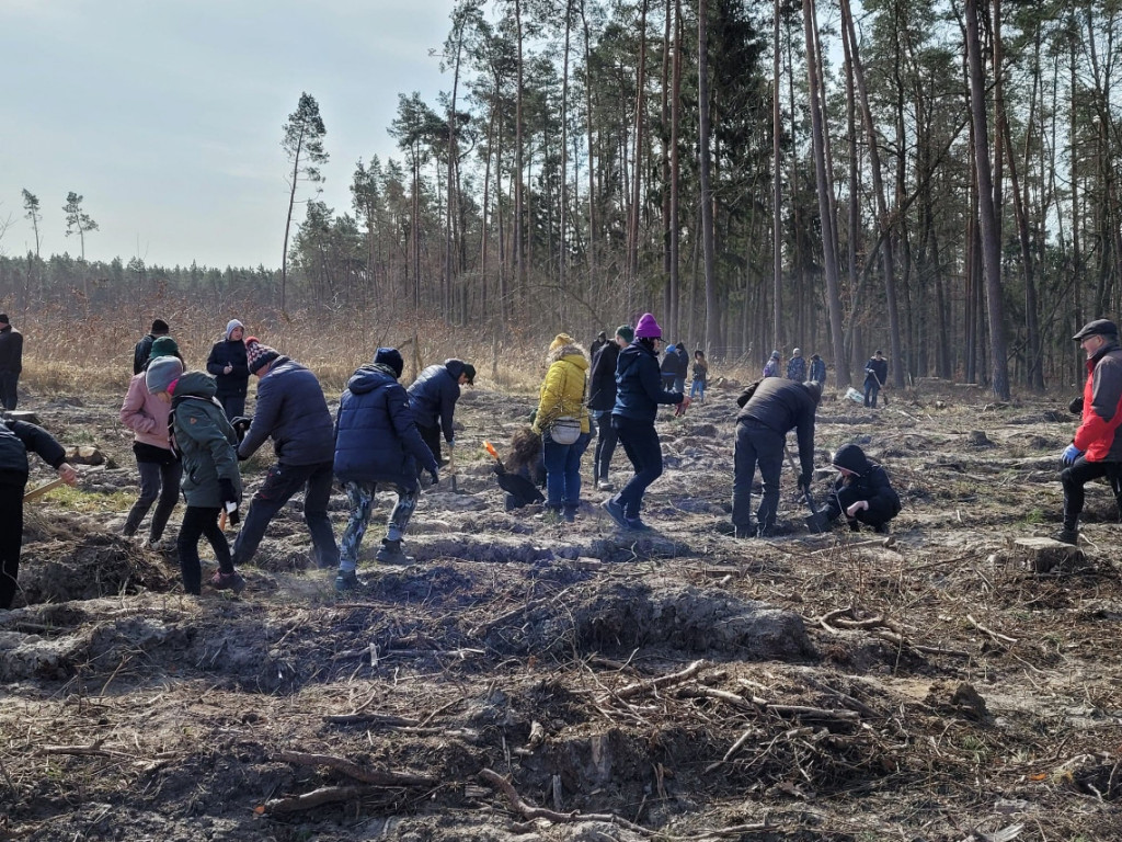 Dobrze wykorzystana sobota - sadzili las w Miradzu