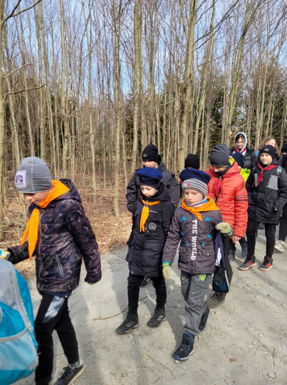 Dobrze wykorzystana sobota - sadzili las w Miradzu