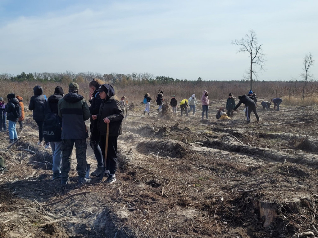 Dobrze wykorzystana sobota - sadzili las w Miradzu