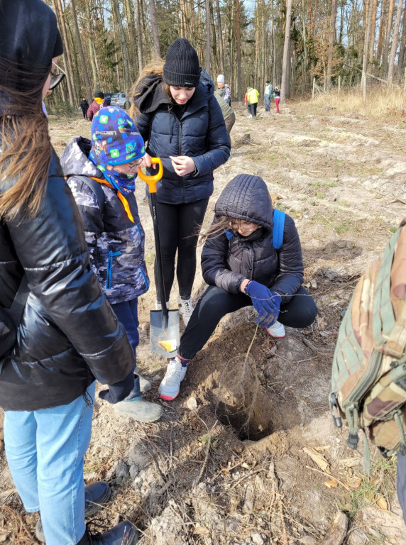 Dobrze wykorzystana sobota - sadzili las w Miradzu