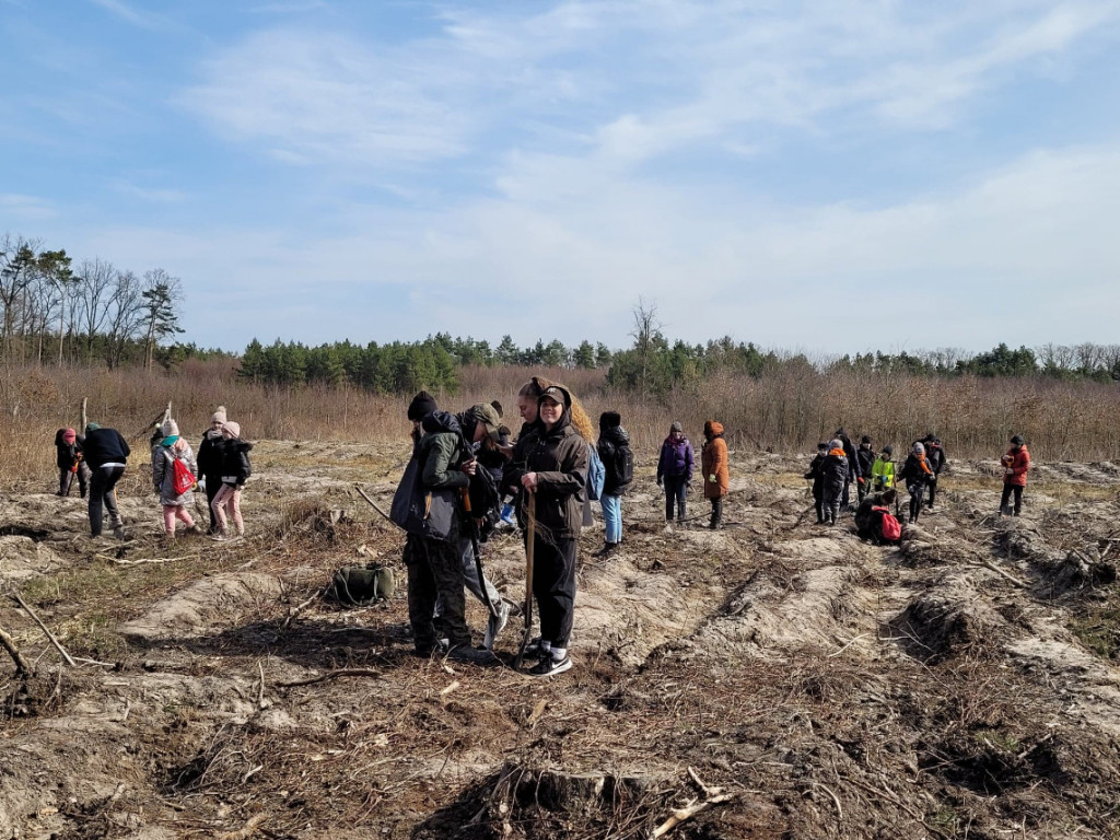 Dobrze wykorzystana sobota - sadzili las w Miradzu