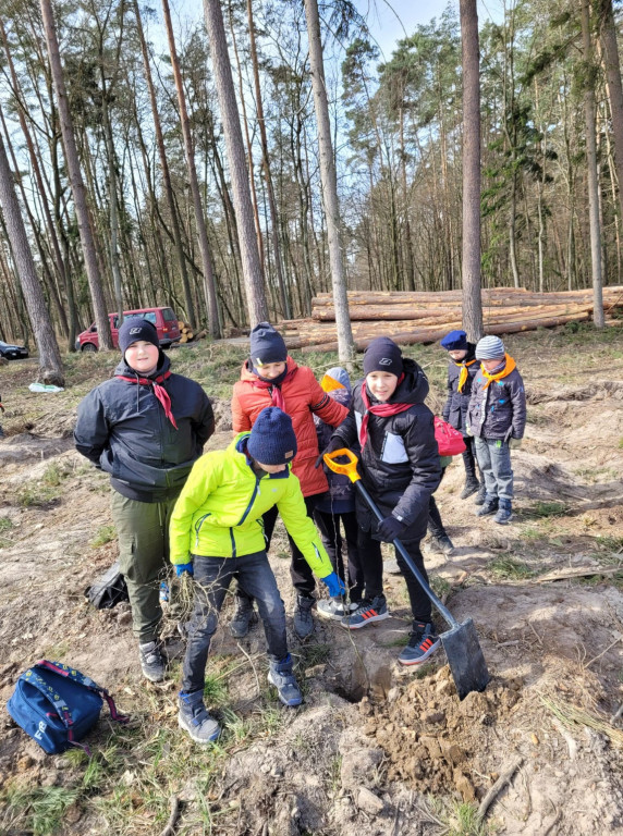 Dobrze wykorzystana sobota - sadzili las w Miradzu