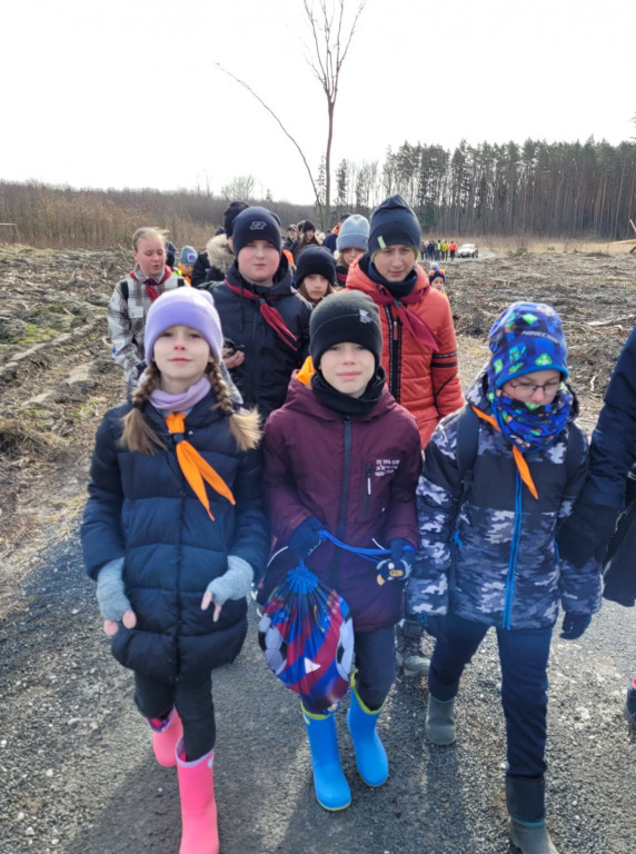 Dobrze wykorzystana sobota - sadzili las w Miradzu