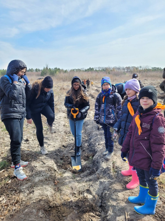 Dobrze wykorzystana sobota - sadzili las w Miradzu