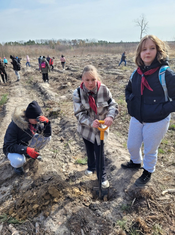Dobrze wykorzystana sobota - sadzili las w Miradzu