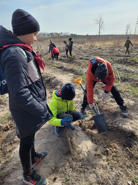 Dobrze wykorzystana sobota - sadzili las w Miradzu