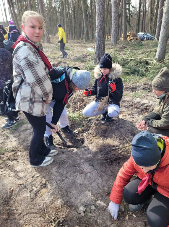 Dobrze wykorzystana sobota - sadzili las w Miradzu