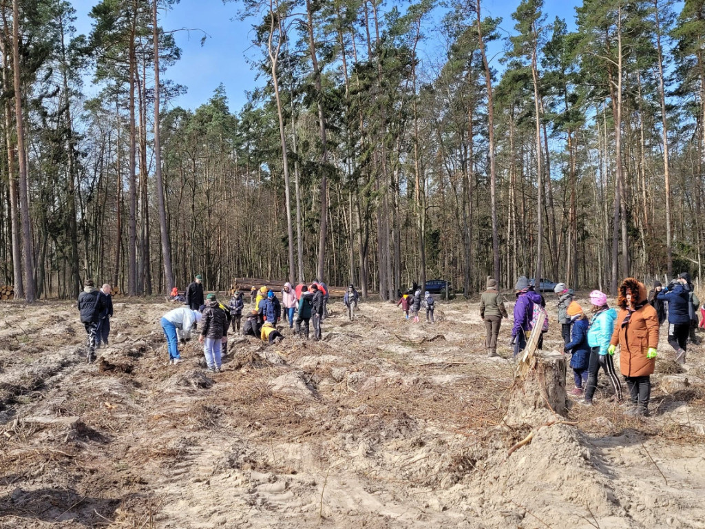 Dobrze wykorzystana sobota - sadzili las w Miradzu