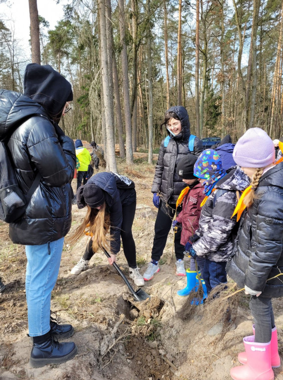 Dobrze wykorzystana sobota - sadzili las w Miradzu