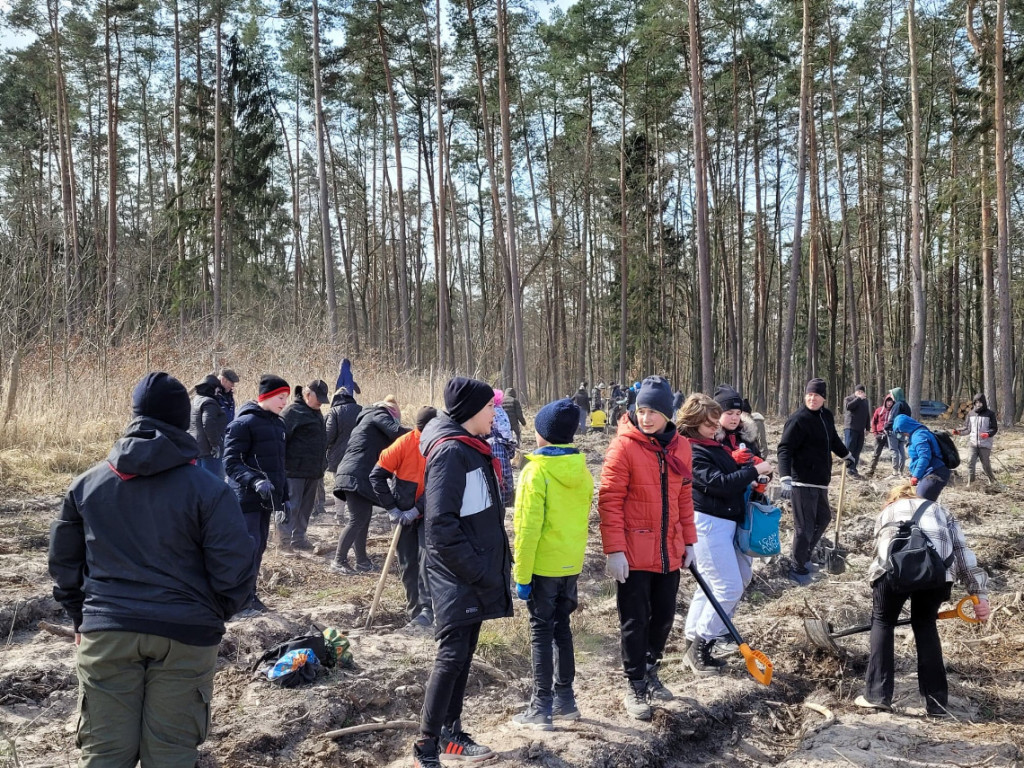 Dobrze wykorzystana sobota - sadzili las w Miradzu