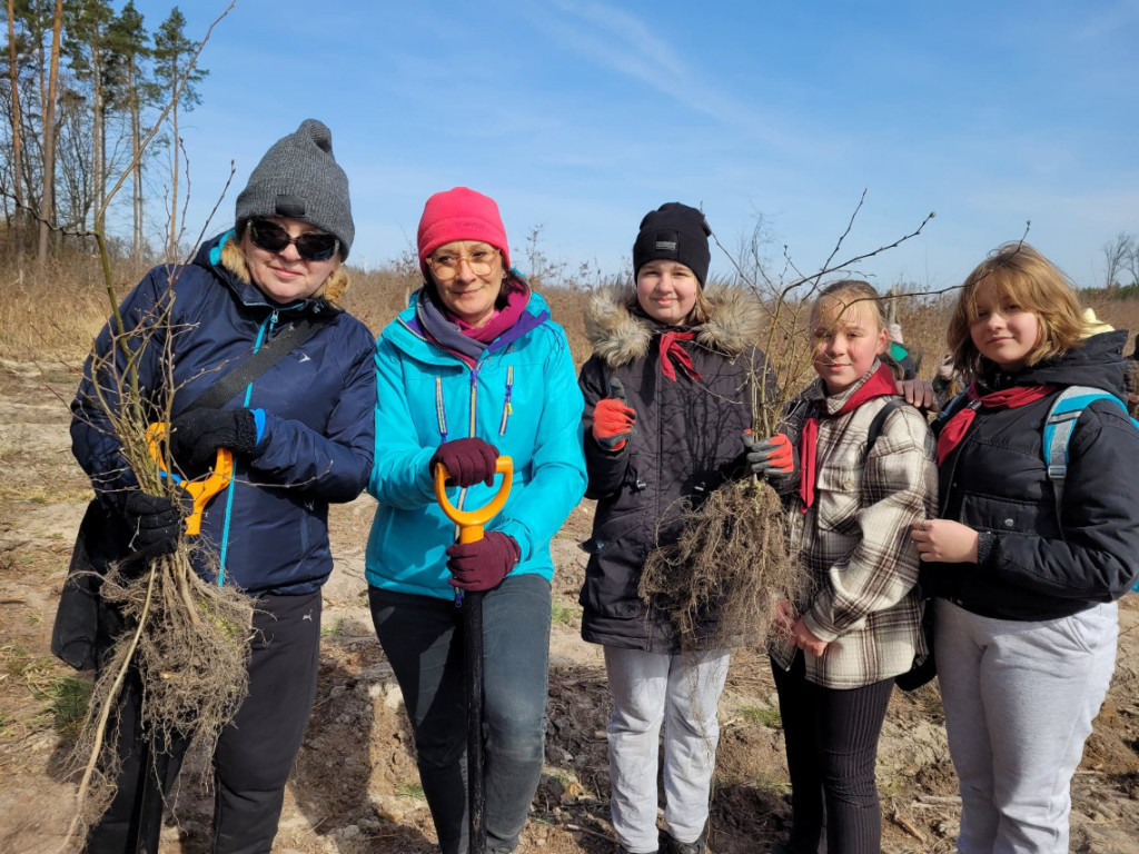 Dobrze wykorzystana sobota - sadzili las w Miradzu