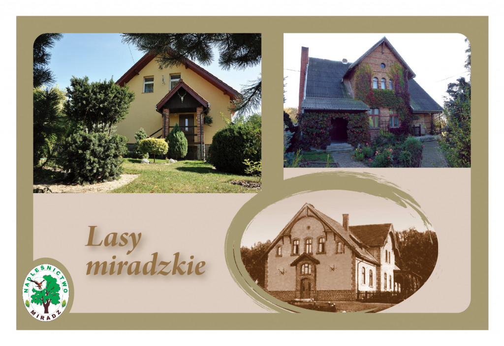 Nadleśnictwo Miradz okiem miłośników