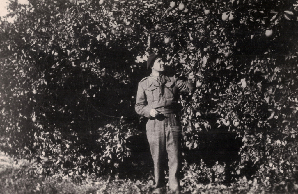 Strzelnianie na Monte Cassino - 78. rocznica zakończenia walk
