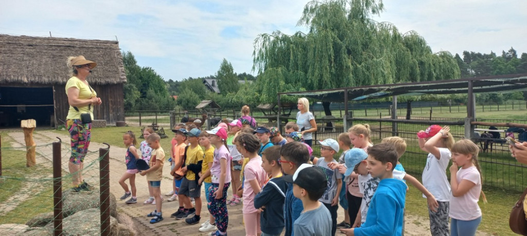Dzieciaki i alpaki - radość obcowania z przyrodą