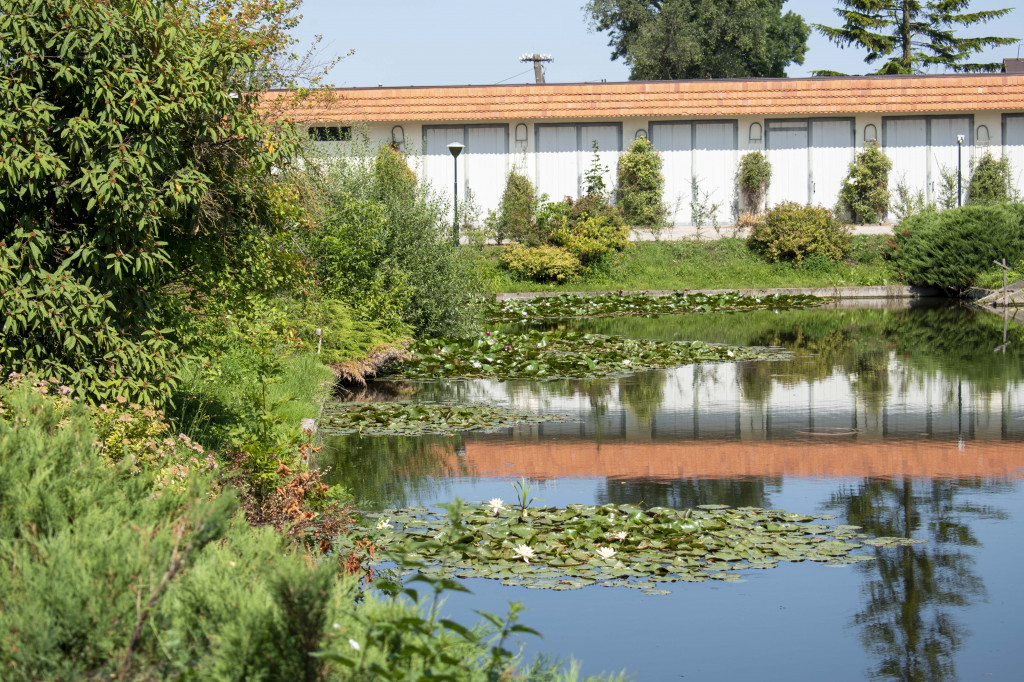 Markowice - tradycja i nowoczesność - galeria