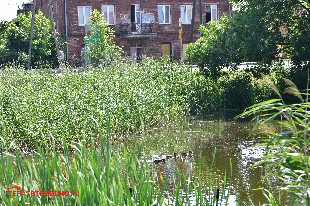 Markowice - tradycja i nowoczesność - galeria
