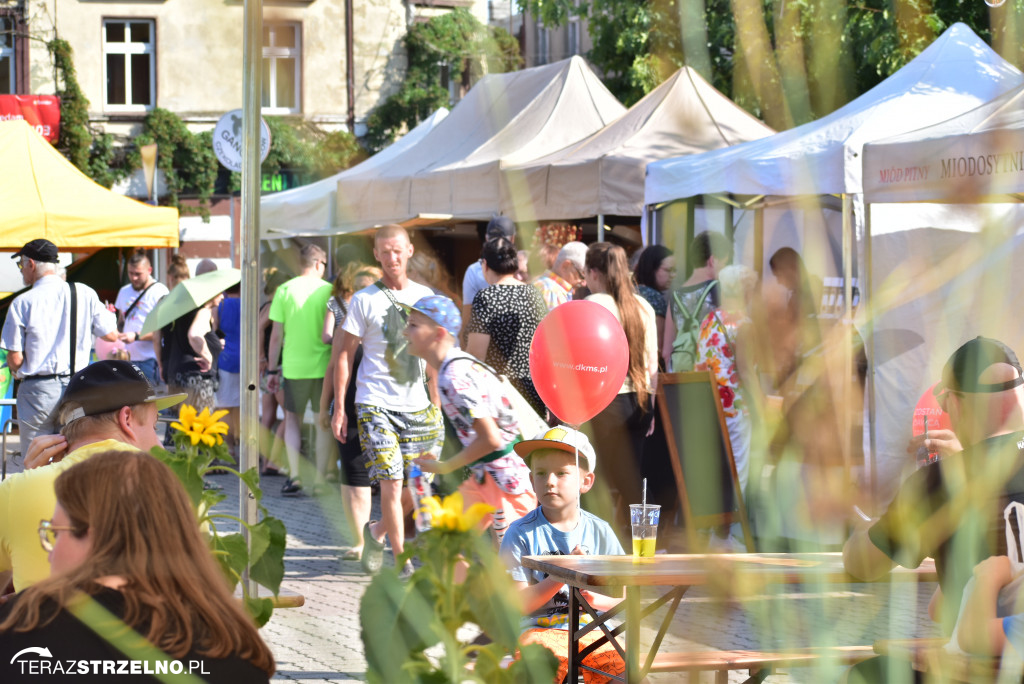 II Dzień Festiwalu Czekolady